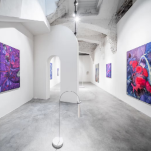 Karpuchina Gallery: Překlenutí od Tereza Tomanová [ 23.1. – 1.3.2026 ]